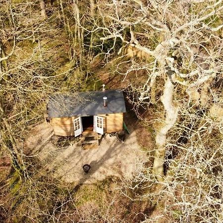 Bluebell Shepherds Hut Rolvenden Ngoại thất bức ảnh
